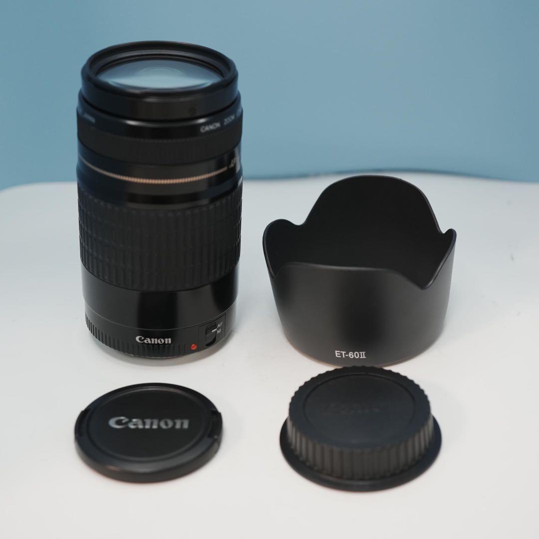 Canon純正 75-300mm 望遠レンズ 美品 a4331