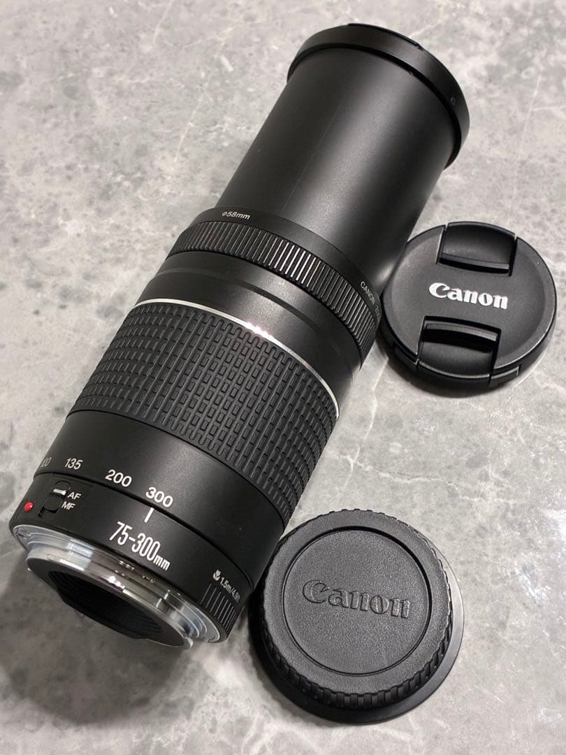 ⭐️外観美品⭐️Canon EF 75-300mm F/4-5.6 III