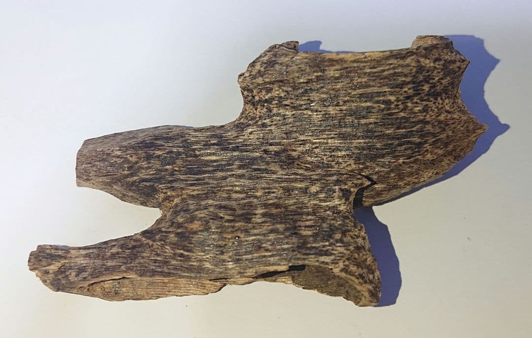 香木 沈香 伽羅 聞香◎品名 ミャンマー産上物