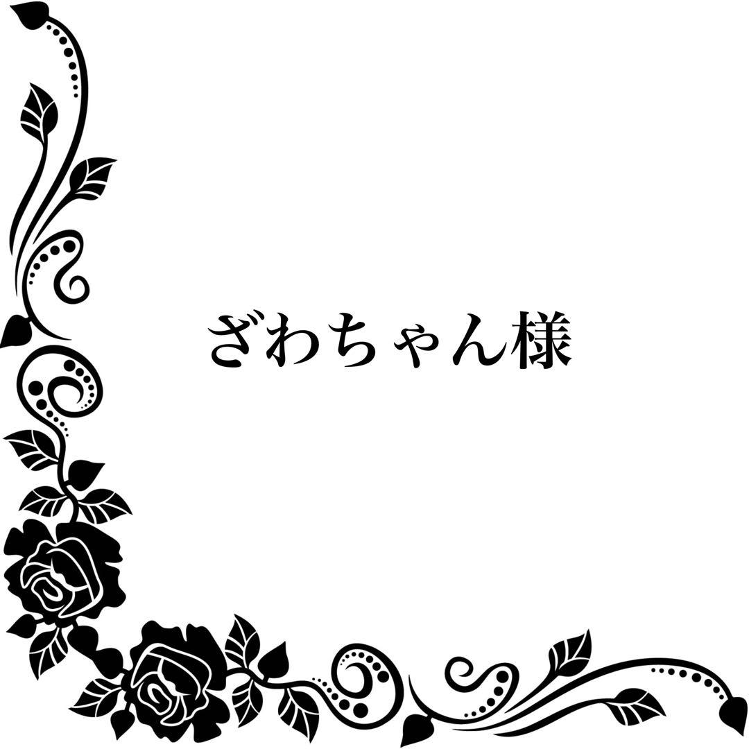 オーダー】ざわちゃん様専用ページ - メルカリ