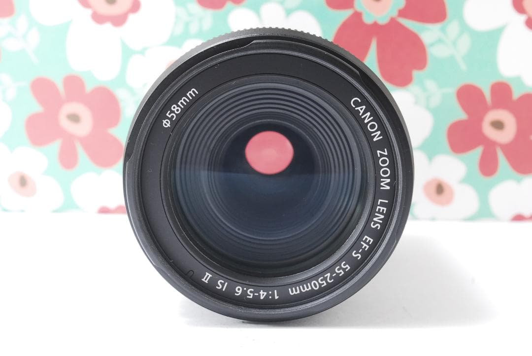 ❤Canon EF-S 55-250mm F5.6 IS II❤手振れ補正❤ - メルカリ
