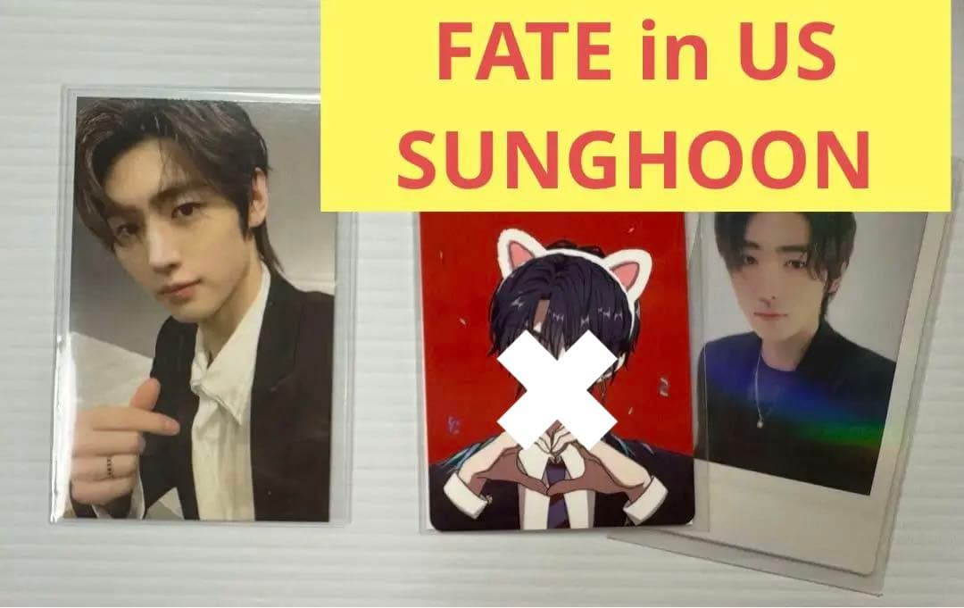 ソンフン FATE us アメリカ おまけ付 o0719108015351367523.jpg