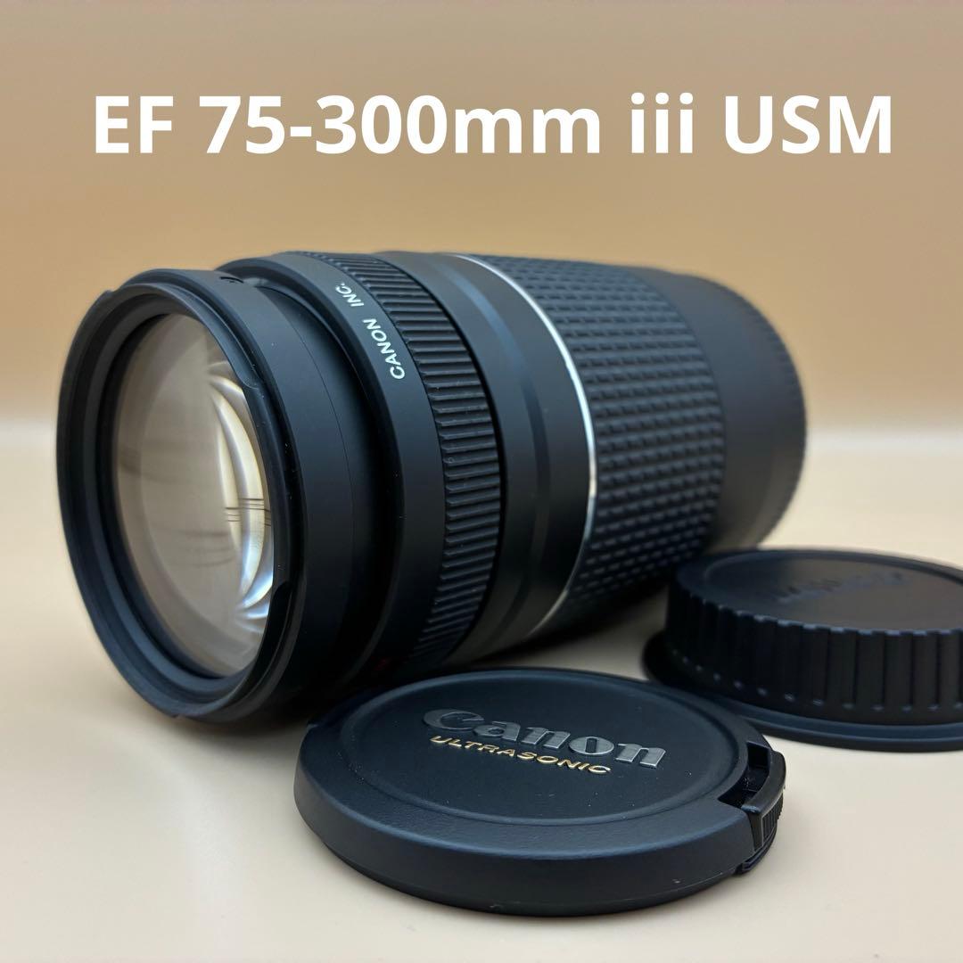 ★美品★ Canon EF 75-300mm iii USM 望遠 キヤノン Amazon.com : Canon EF 75-300mm f/4-5.6 III Telephoto Zoom Lens for
