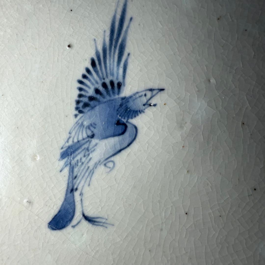 江戸中期　古伊万里　染付鳥蝶図七寸皿　裏唐草　鳥の躍動感！　20.4cm 古美術