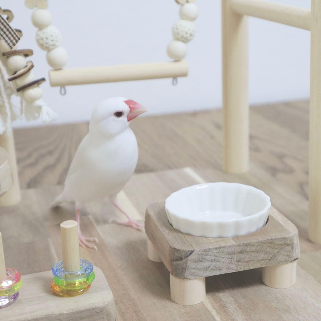 ことりのおおきなあそびばミラー付き文鳥インコバードアスレチックブランコ