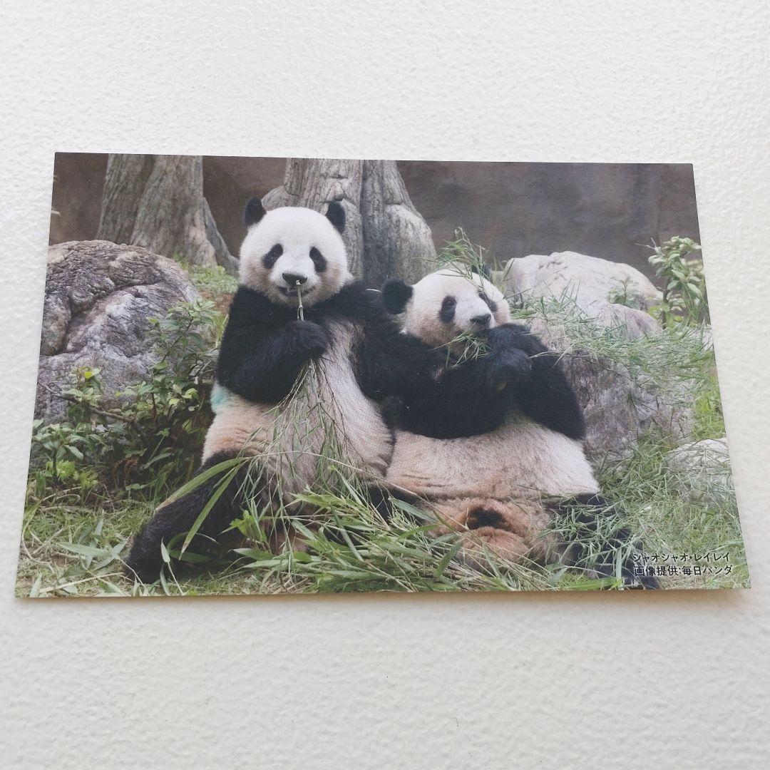 上野松坂屋 シャオシャオ レイレイ 毎日パンダ 双子の思い出ポスト