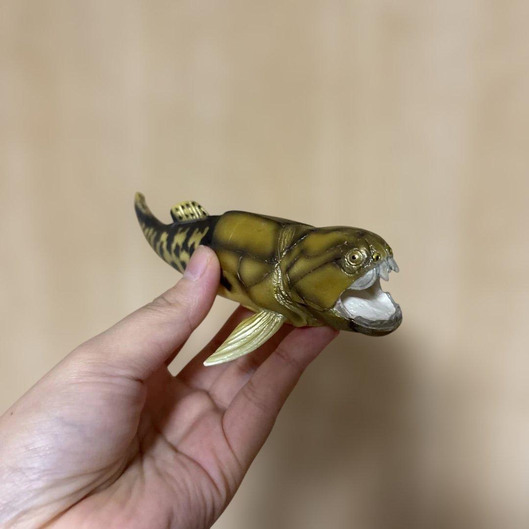 オンライン ショップゲーム・おもちゃ・グッズ - フクロウナギ Pelican