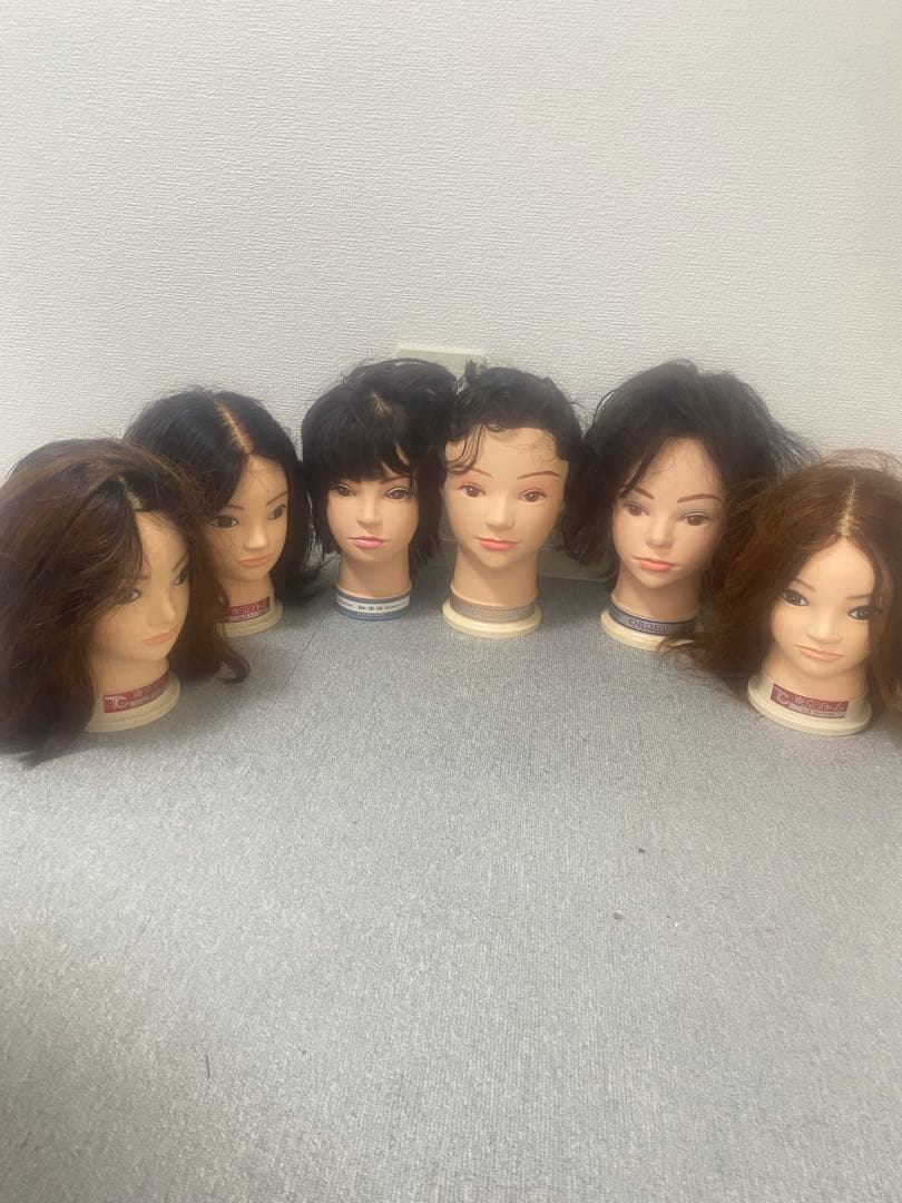 練習用　美容師実技試験対応　6体 カットウィッグ 美容師 マイスター 国家試験 練習 美容師国家試験 練習