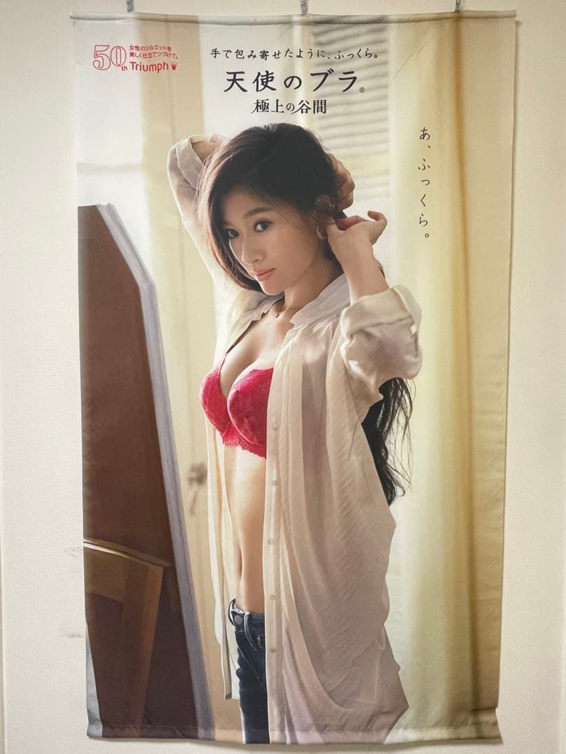 【レア品】篠原涼子×天使のブラ タペストリー縦200㎝×横90㎝ レア品】篠原涼子×天使のブラ タペストリー縦200㎝×横90㎝ - メルカリ