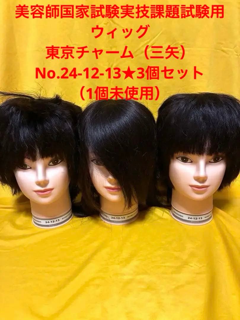 美容師国家試験実技課題試験用ウィッグ☆東京チャーム☆No.24-12-13×3