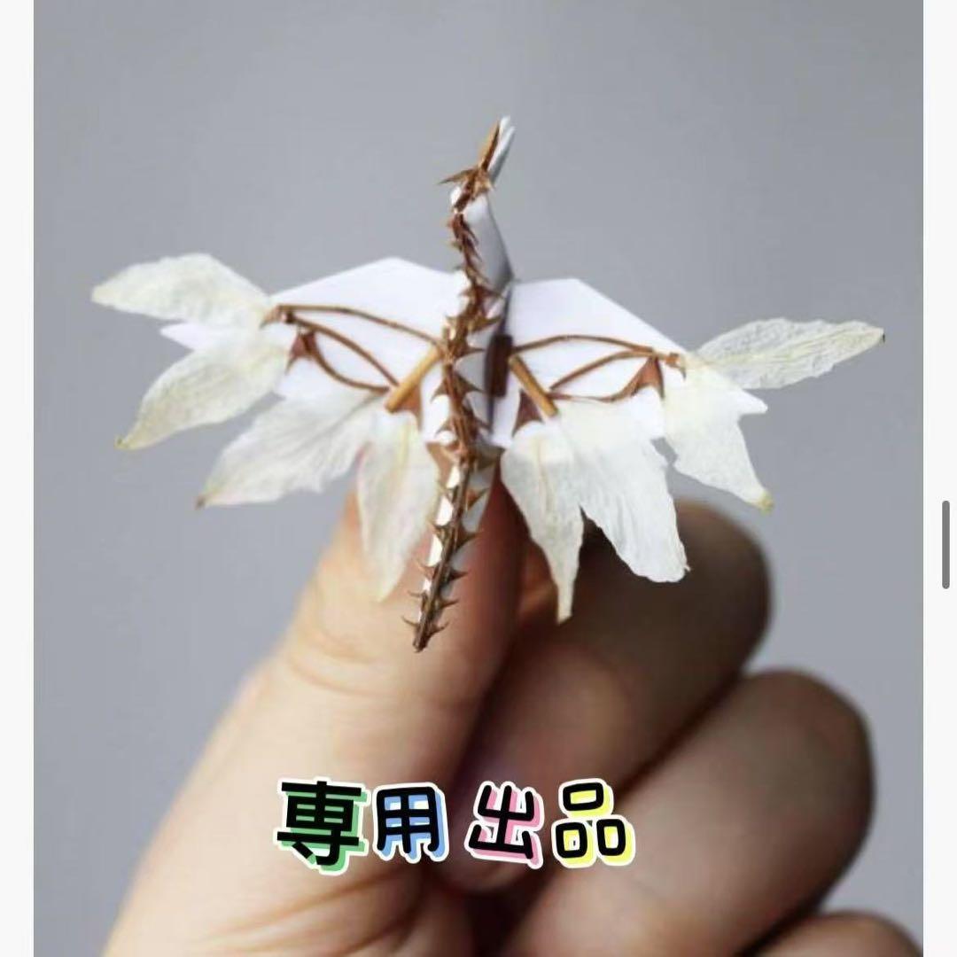 断捨離中！コロボン★プロフ必読★出品 Amazon.co.jp: 人生が面白くなる断捨離（R） (ベネッセ・ムック