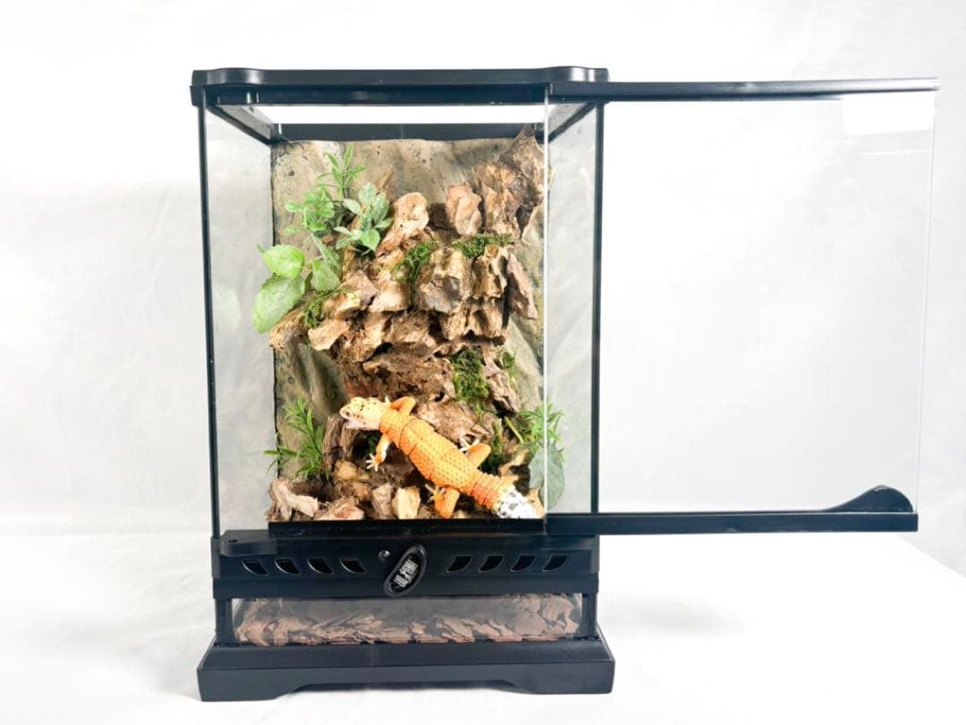 爬虫類ケージ(レイアウト済み品)(レオパ ニシアフ) - メルカリ