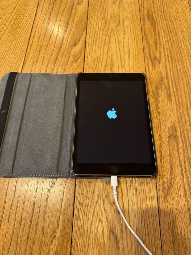 Apple iPad mini 3 本体 Apple iPad Mini 3 64GB Fiyatları