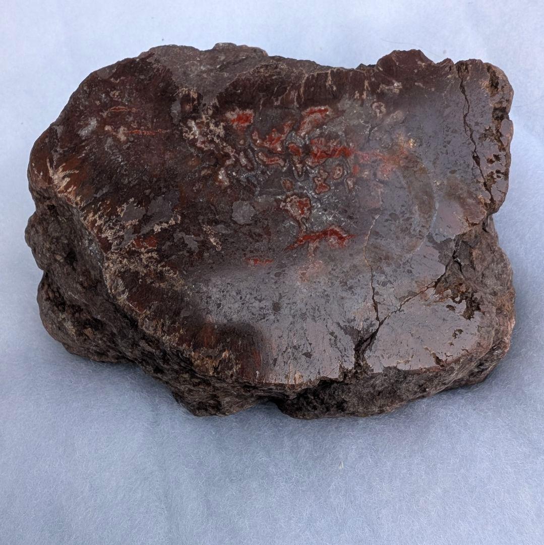 特大 本物 大型肉食恐竜の糞の化石 多彩 メノウ化 標本 1866グラム