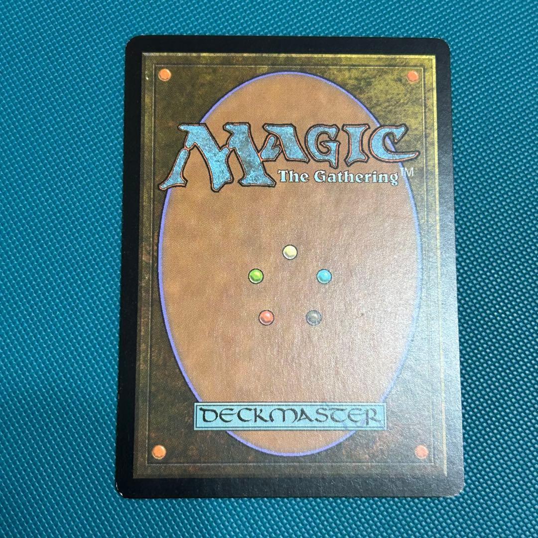 【ジャッジ褒賞Foil】《吹きさらしの荒野/Windswept Heath》英語