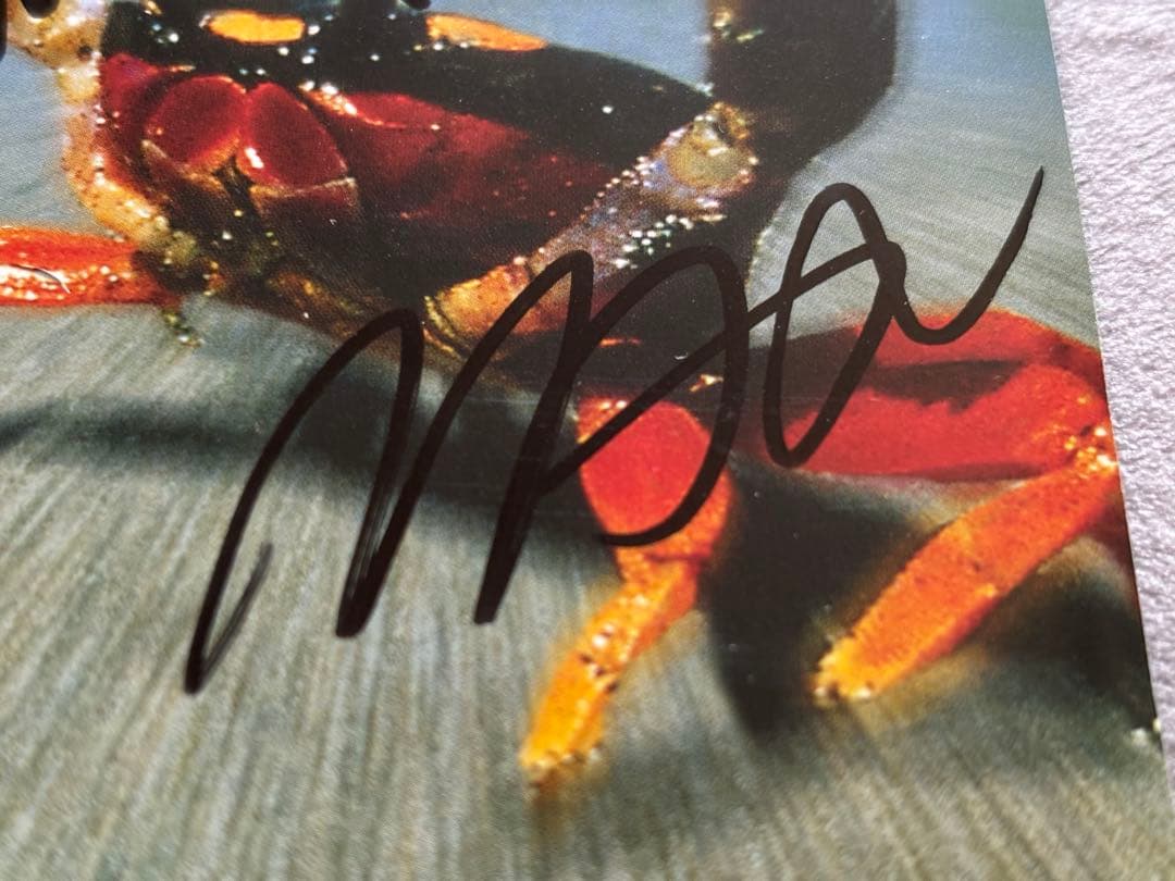 レア ザ・プロディジー The Prodigy直筆サインCD キースプリント