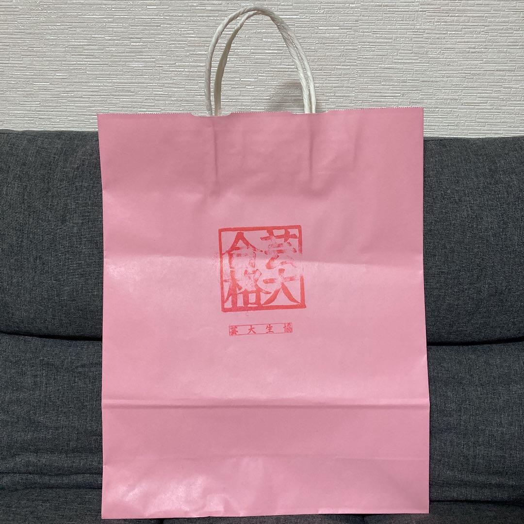 東京藝術大学 合格紙袋