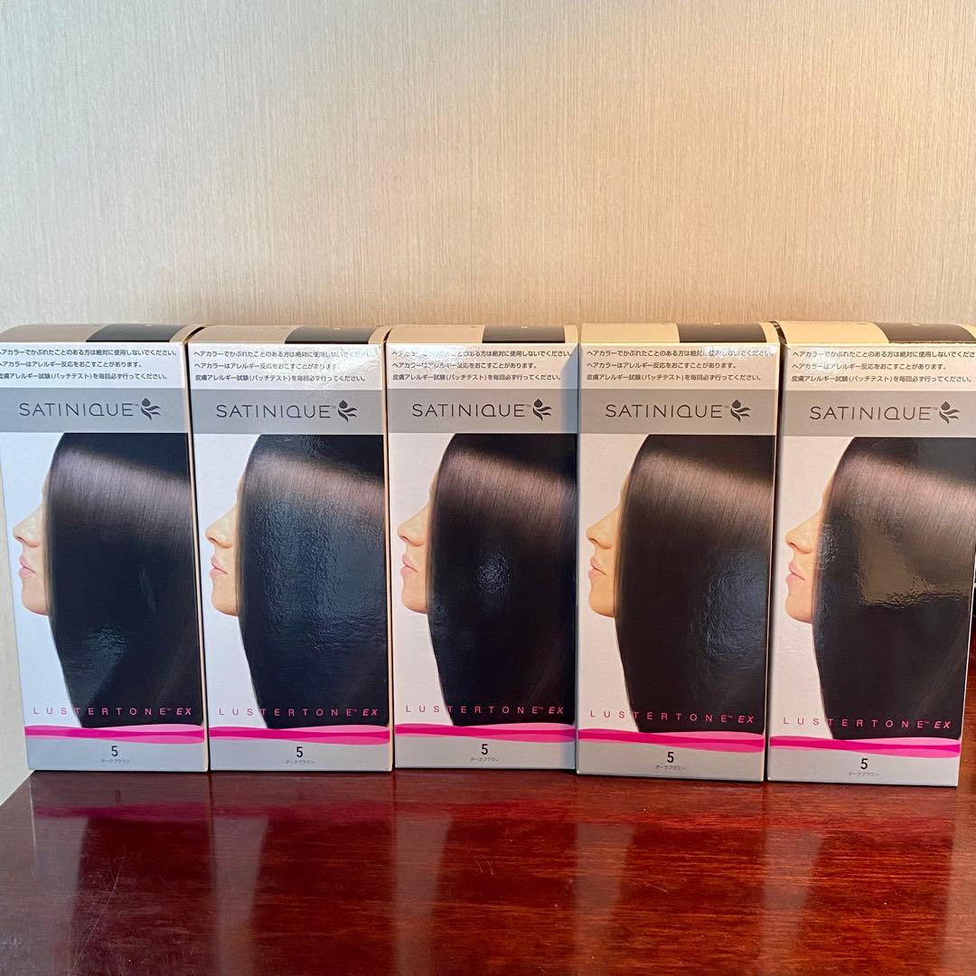 サテニーク ラスタートーンEX 5点セット ダークブラウン アムウェイ