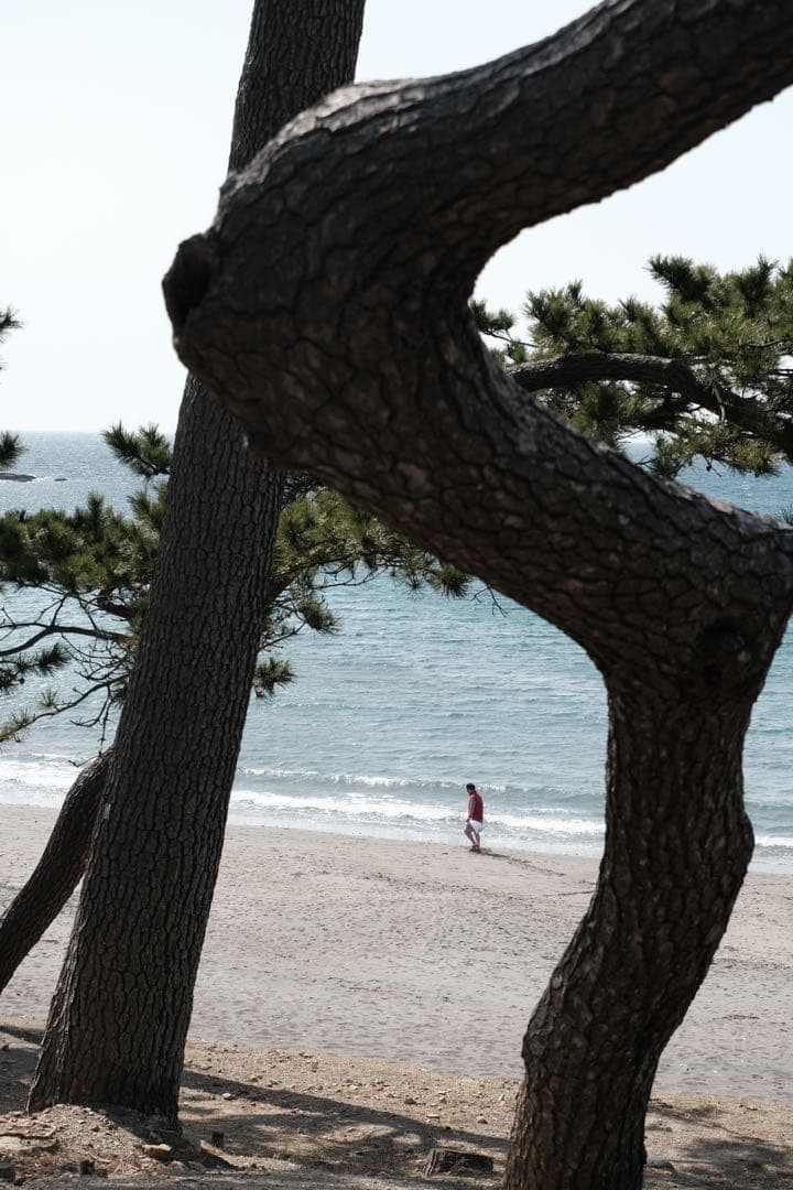 【即購入OK】FUJIFILM XC50-230mm F4.5-6.7 訳あり品