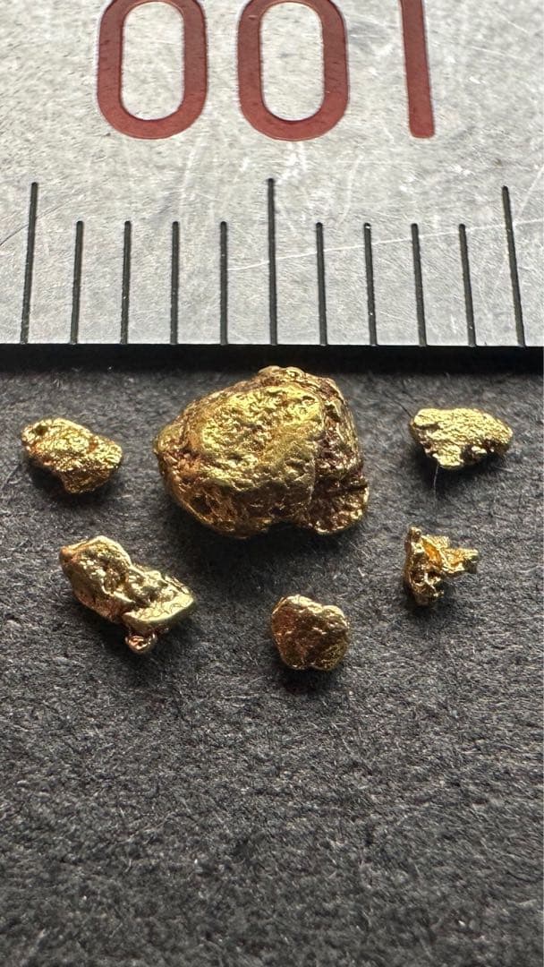 砂金　大きさ様々 砂金の大きさ―粉金からナゲットまで – 一般社団法人資産運用総合研究所