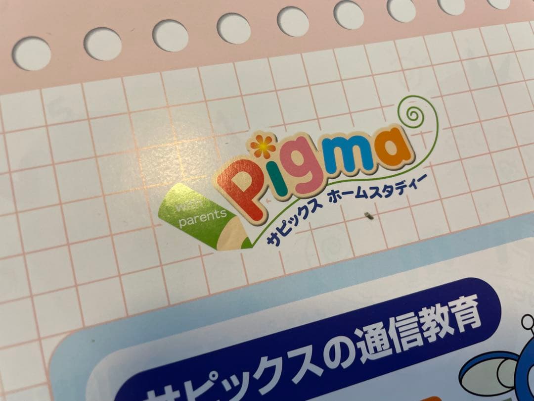 えり様専用 【未記入】サピックス ピグマ 2年生 通信 - メルカリ