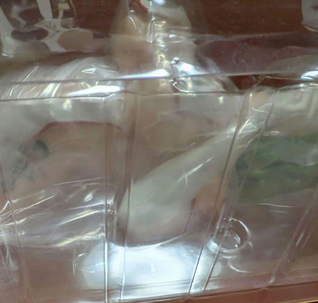 日影 ナース フィギュア 初版 閃乱カグラ HOBBY STOCK