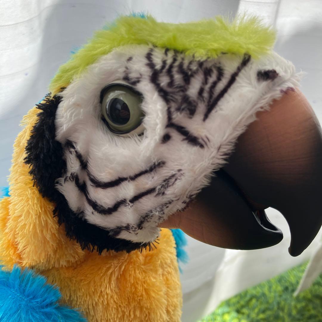 夢おうむ ぬいぐるみ いんこ セガトイズ 鳥 野鳥 南国 本体のみ