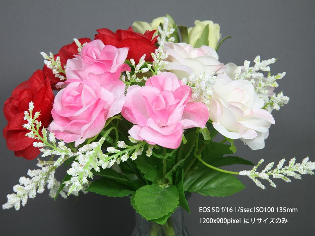 Canon EF 28-135mm f/3.5-5.6 IS USM 美品