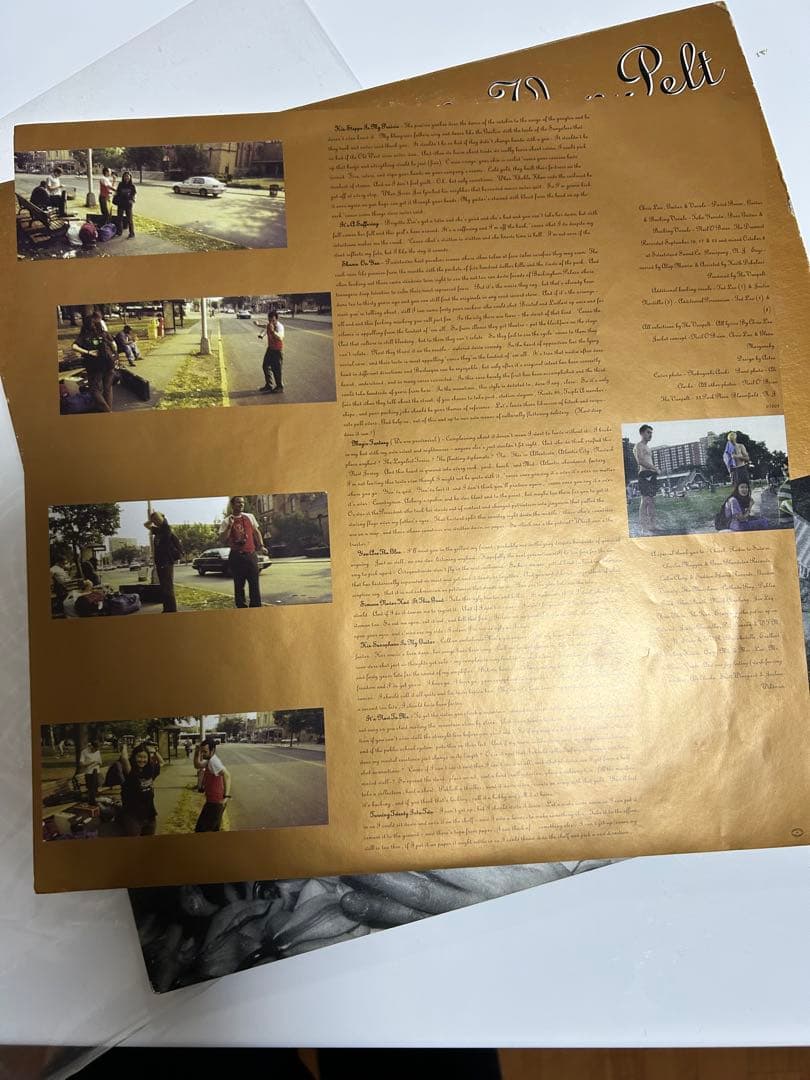 洋楽 The Van Pelt -Stealing From Our Favorite