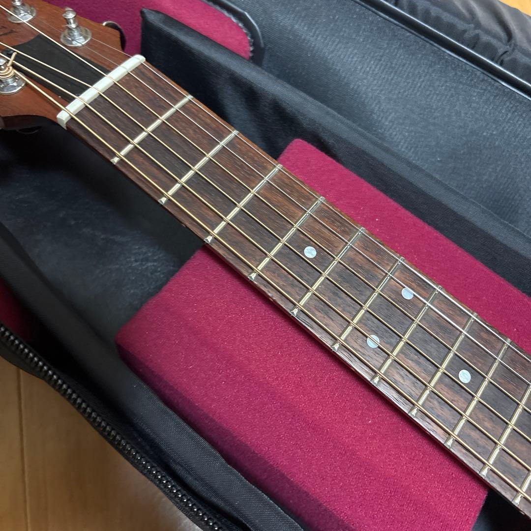 レア Tacoma P1パプース ナスカケース付き TACOMA 商品一覧 | 三木楽器