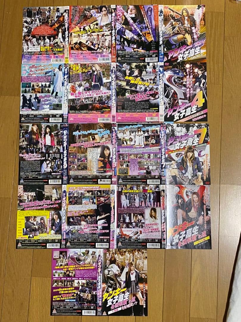 ヤンキー女子高生 全9巻セットとヤンキー女子高生全国制覇への道 全4巻 計13枚