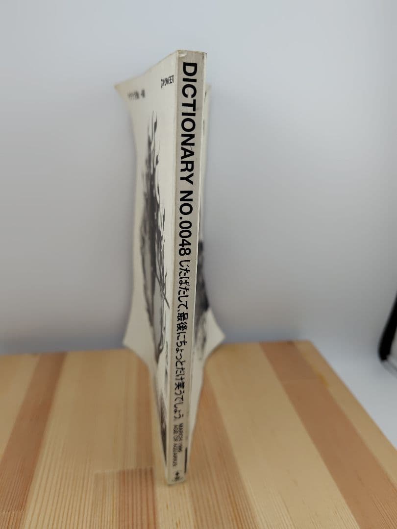 ​【希少】DICTIONARY No.48 1996年 藤原ヒロシ JONIO