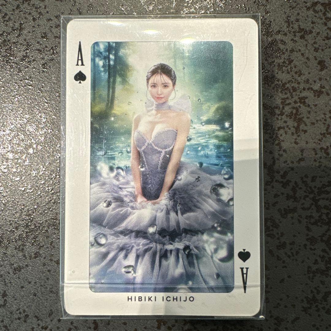 非売品】歌舞伎町 フォーティーファイブ 2024年 オリジナルトランプ