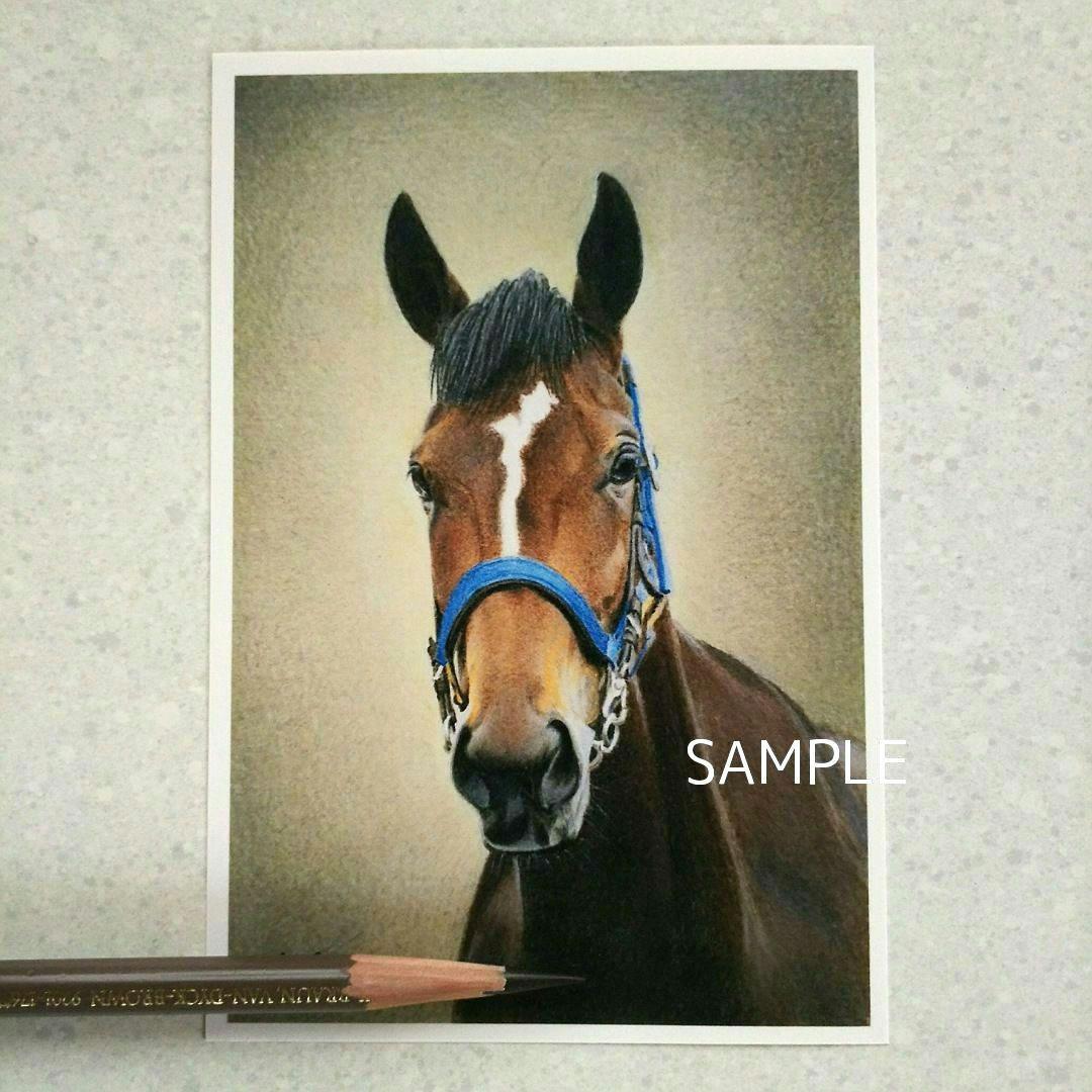 リアル色鉛筆画(ポストカード) メイケイエール No.50 - メルカリ