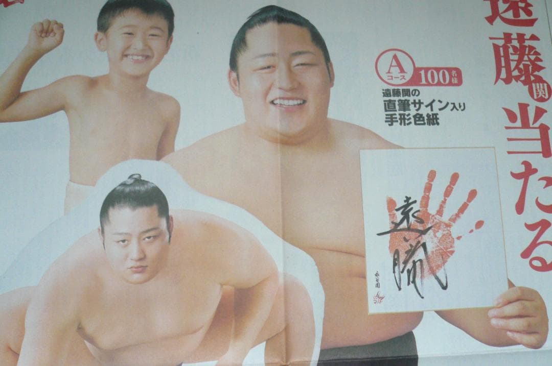 なんと3点！貴重！遠藤関 永谷園 新聞広告 切り抜き 大相撲 2014年他