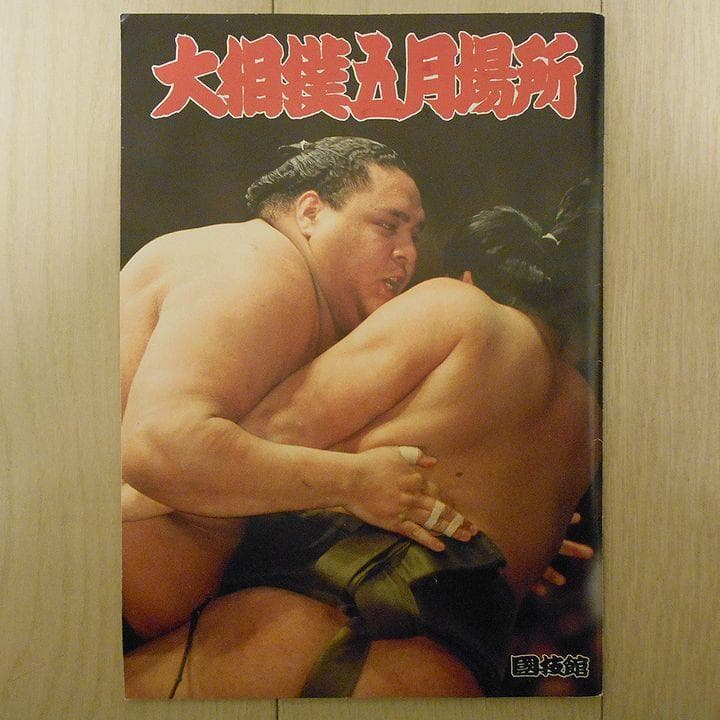 大相撲パンフレット 平成6年5月場所 - メルカリ