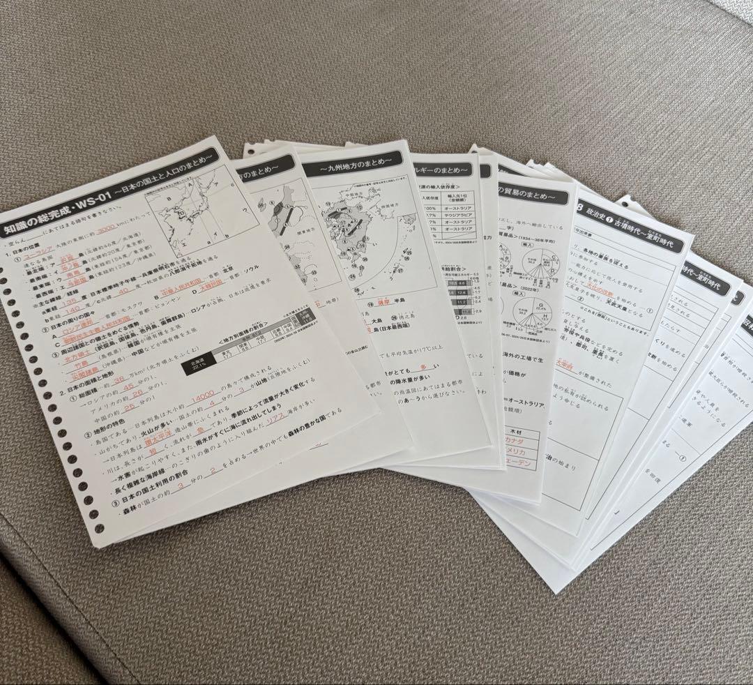 サピックス 知識の総完成 社会 6年生総まとめ 欠番なし - メルカリ