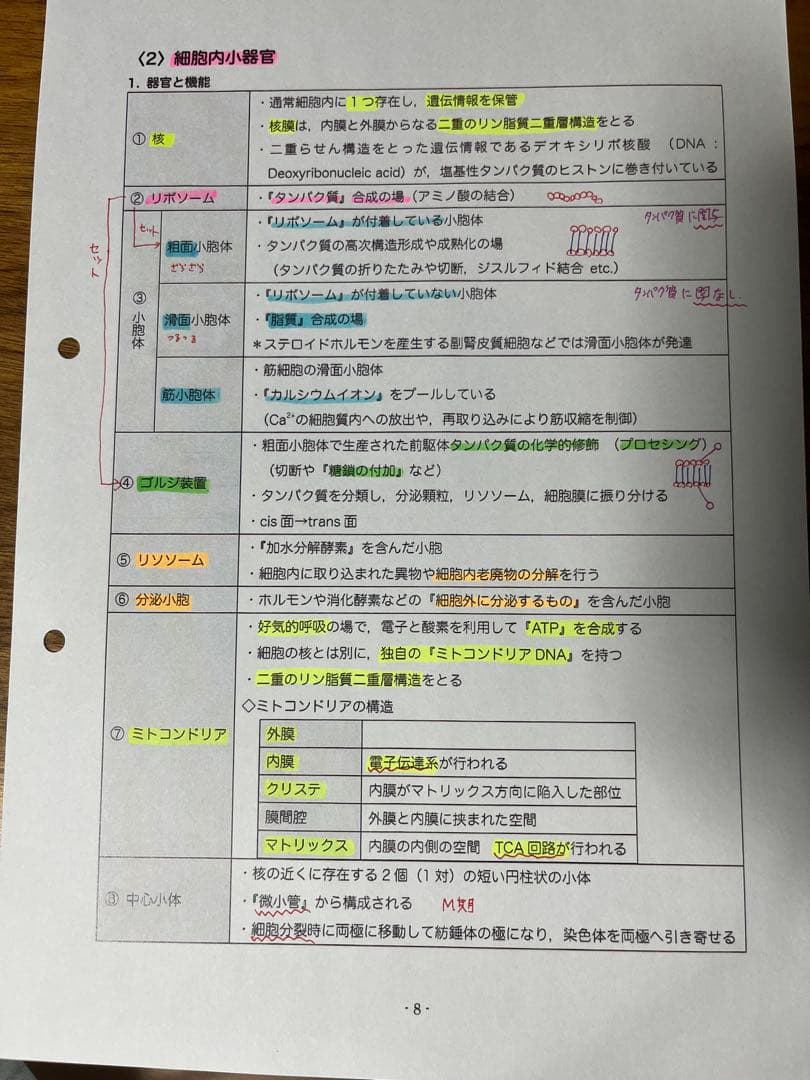 DES][2026][裁断済] 歯科医師国家試験コース 基礎科目全て❗️ DES