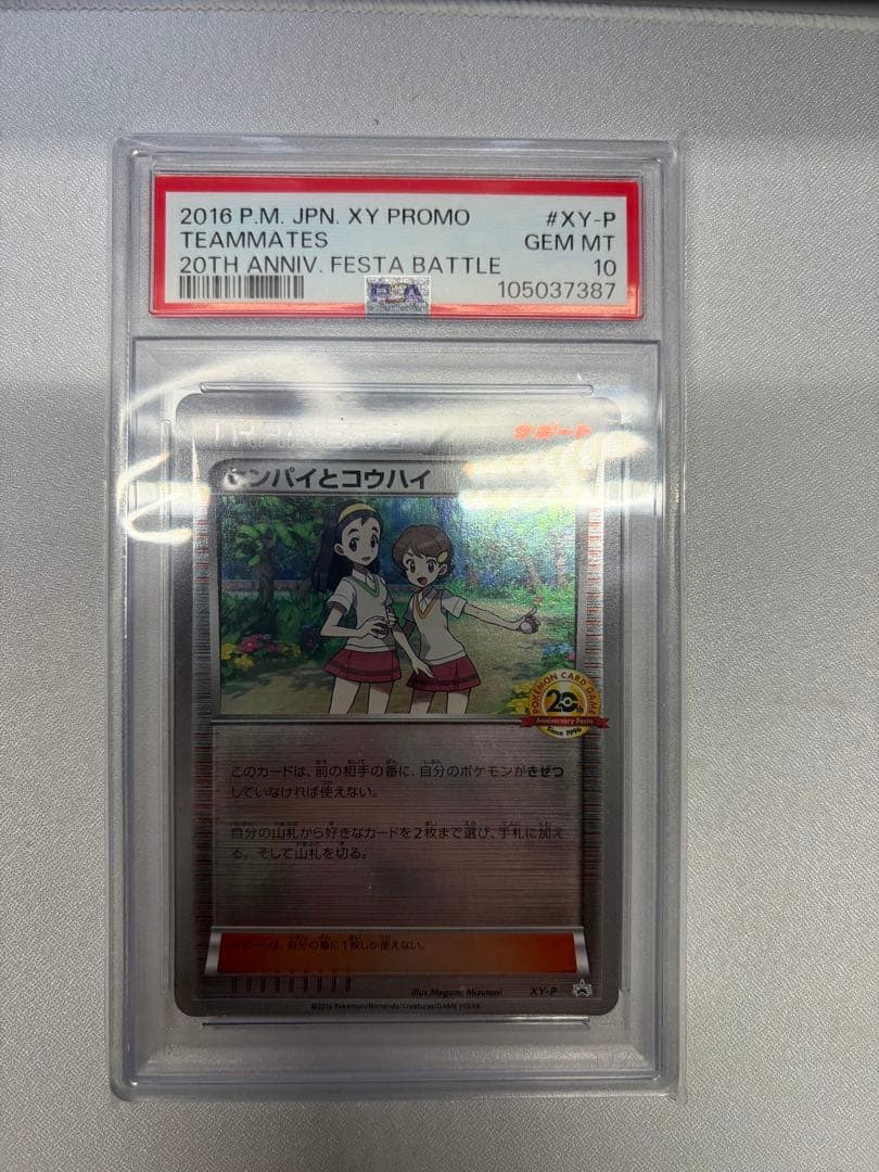 超希少！極美品　センパイとコウハイ 20th プロモ ポケモンカード　正規品 センパイとコウハイ(20thアニバーサリー)【P】{XY-P}