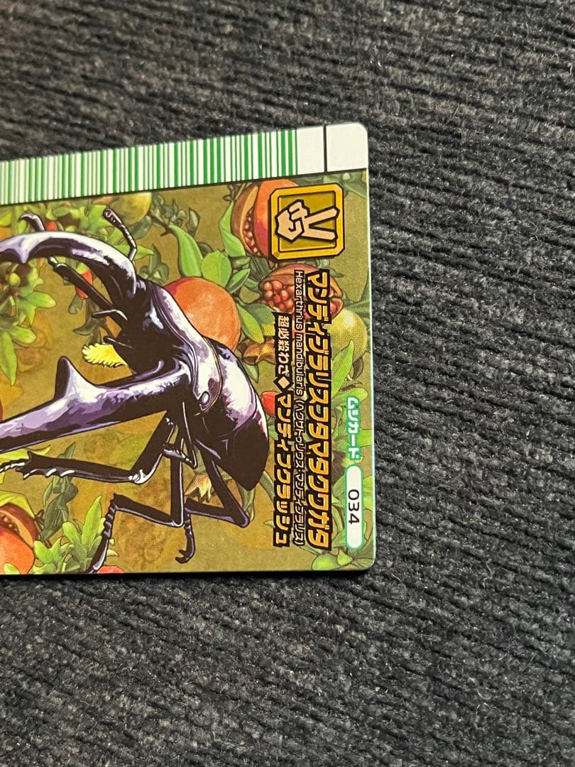 ムシキング/マンディブラリスフタマタクワガタ5周年 マンディブ