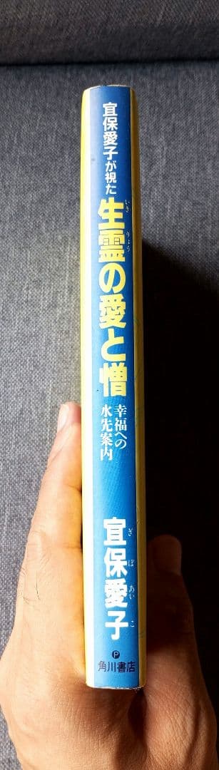 宜保愛子が視た 生霊の愛と憎 幸福への水先案内 - メルカリ