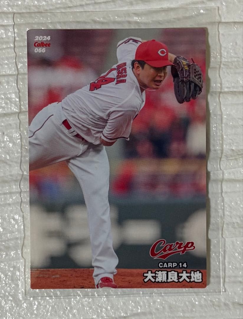 プロ野球チップス 広島東洋カープ 7枚セット 2025年版 2024年版 - メルカリ