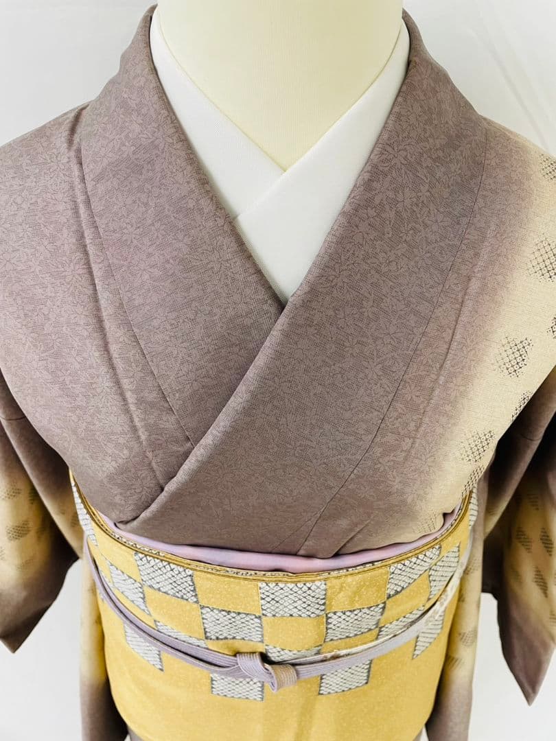 お見分け済　　佐野一生　染大島紬創作訪問着と袋帯セット