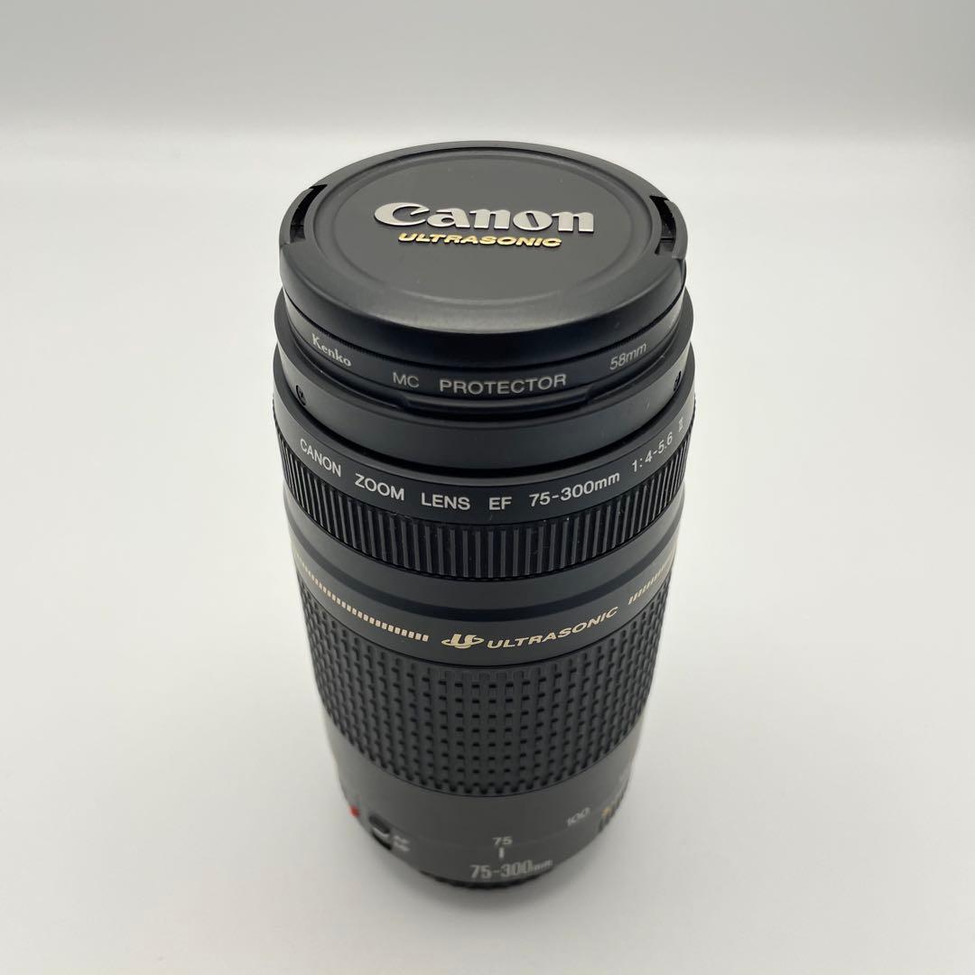 Canon EF 75-300mm F/4-5.6 II 超望遠レンズ　キャノン