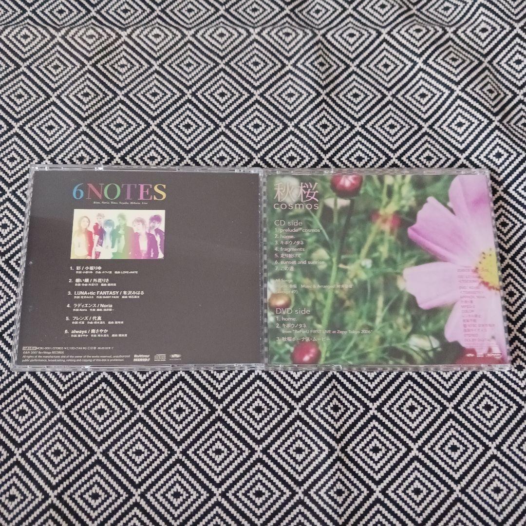 cosmos / 秋桜　南さやか　6NOTES / BeForU　セット