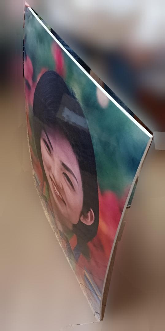 田中麗奈　フジカラー店頭パネル　56cm×90cm×0.8cm