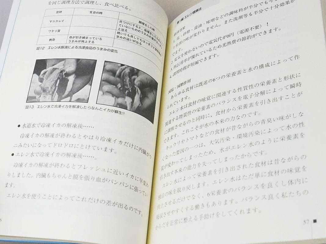 図解 21世紀の生命の水・エレン蘇生水 その究極の健康法と農法 河千田