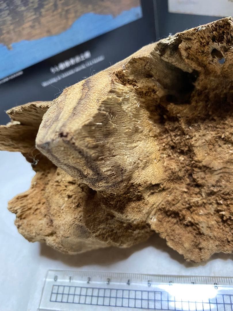 ベトナム産天然香木 希少良香馬蹄泥沈香162.7g 香道聞香用六国五味伽羅