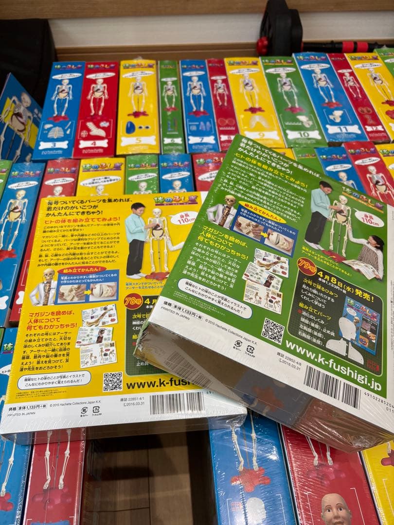 最終値下げ❗️アーサー　人体模型 セット 101個　バインダー14冊付きます