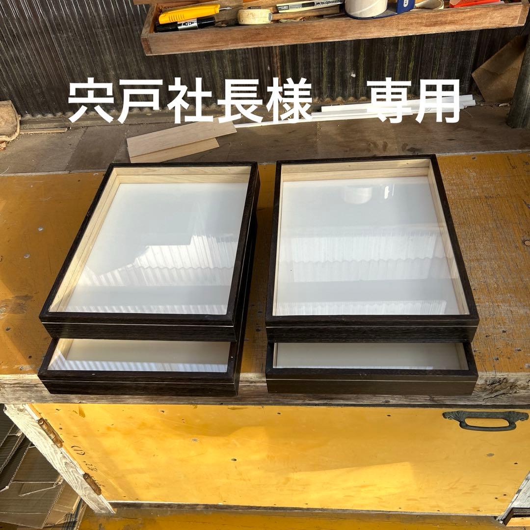 中型標本箱　4箱 バードウィング製 ドイツ型標本箱 BW中型 （幅42．5×奥行32．5